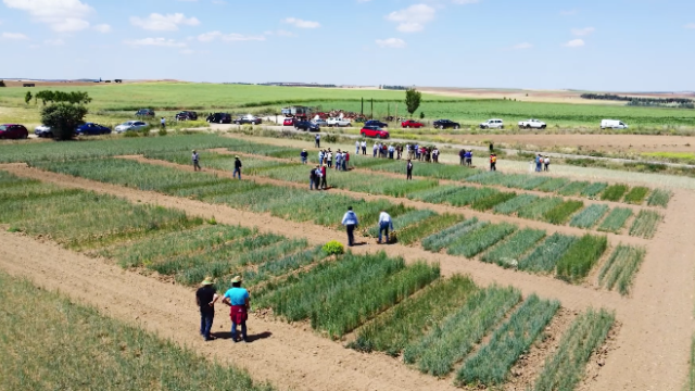 RURACTIVE Unveils New Video Highlighting Project Objectives and Anticipated Impact RURACTIVE Unveils New Video Highlighting Project Objectives and Anticipated Impact