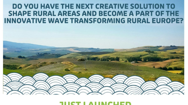 Open Call Now Launched: RISE Project RURACTIVE Seeks Innovators to Develop Novel Solutions for Rural Challenges Open Call Now Launched: RISE Project RURACTIVE Seeks Innovators to Develop Novel Solutions for Rural Challenges