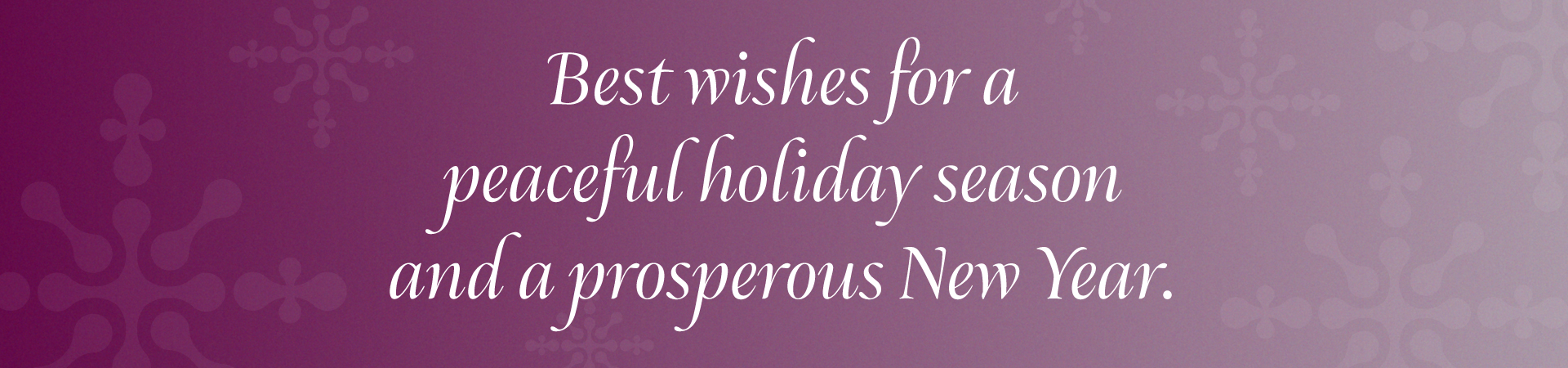 2025_RISE_seasonsgreetings_Web-banner